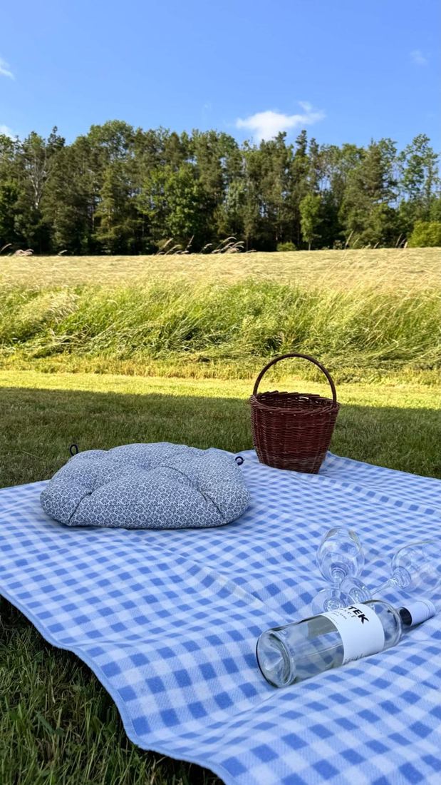 Modrobílá kostkovaná deka s košíkem na louce u lesa